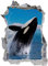 3D Wandtattoo Mauerloch Wandsticker Wandaufkleber Durchbruch selbstklebend Schlafzimmer Wohnzimmer Kinderzimmer,Orca Wal.,Größe 70x110cm