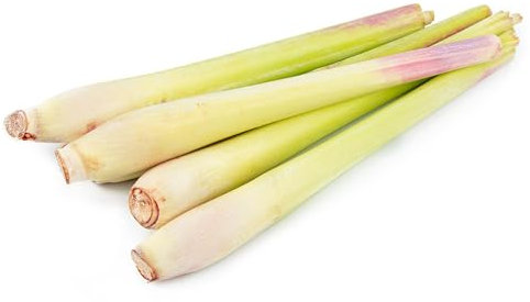 500 pcs zitronengras samen mehrjährig - Cymbopogon citratus - kräuterbeet indoor, bio samen zitronengras pflanze kaufen kräuter balkon, garten geschenk gartenkräuter, bio saatgut indoor