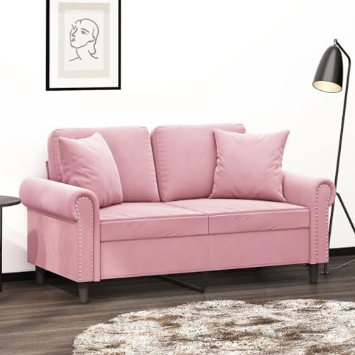 Mengtu 2-Sitzer-Sofa mit Zierkissen Sofa Couch Loungesofa Polstersofa Relaxsofa Dopplesofa Gästesofa Loveseat Sofas fürs Wohnzimmer Schlafzimmer Gästezimmer Rosa 120 cm Samt