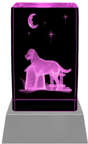 Kaltner Präsente Stimmungslicht - Ein ganz besonderes Geschenk: LED Kerze/Kristall Glasblock / 3D-Laser-Gravur Tiere Hunde Hundehütte/Beleuchtung in Regenbogen Farben