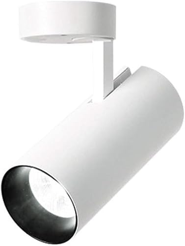 Générique Faretto LED COB da 20 W per montaggio superficiale, illuminazione artistica per dipinti, quadri, illuminazione da parete, plafoniera