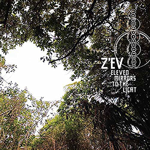 Eleven Mirrors to the Light