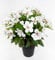Seidenblumen Roß Großer Hibiskus 42cm weiß-Creme im Topf ZF künstliche Pflanze künstlicher Eibisch Kunstblume Kunstpflanze
