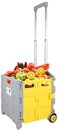 Carrello della spesa pieghevole Vecchio che compra cibo Piccolo carrello Carrello da viaggio Borsa della spesa Rimorchio leggero per uso domestico, può sedersi, con una portata di circa 25 kg Car