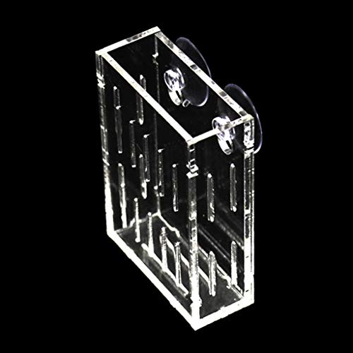 YROHGKPN Vase en acrylique à suspendre au mur - Transparent - Vase d'aquarium - Pour plantes d'aquarium - Vase transparent