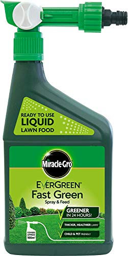 EverGreen Spray and Feed Lawn Food Spray, 1 L (6)