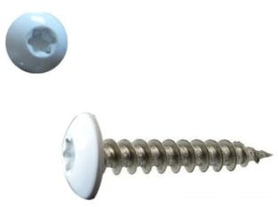 Vis penture 6x50 mm Inox A2 blanc pur RAL 9010 par 50