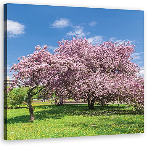 Feeby Bild auf Leinwand Gras Blühender Baum Himmel Wiese 40x40 cm Kunstdruck modern Natur Wolken Pflanzen Rosa