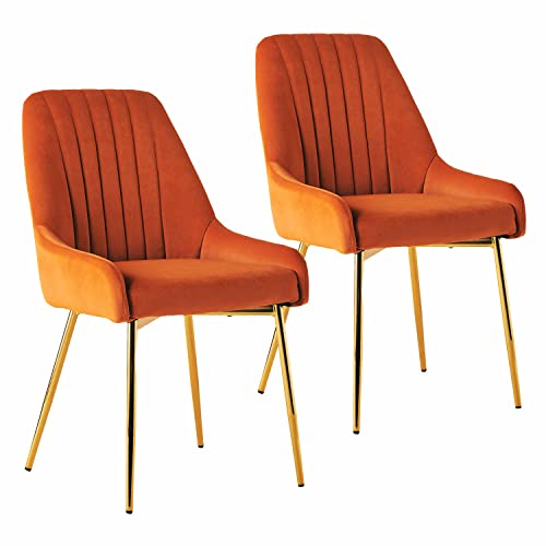 Sepnine Esszimmerstühle 2er Set, Essstuhl, Polsterstuhl mit goldenen Metallbeinen, Samt Küchenstuhl, komfortabler Esszimmermöbel, ergonomische Dining Chairs