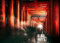 Displate - Poster aus Metall - Magnet-Montage - World Class Photos - Architecture Photography - Fushimi Inari Shrine 67.5 cm x 48 cm