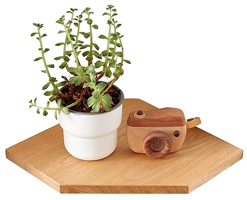OAKERLAND Eckregal Holz Hängend, Eiche Eckregal Wandregal mit Drahtloch für Kabel, Kleines Schwebendes Eckwandregal für Pflanzen Schlafzimmer Wohnzimmer Küche