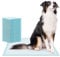 ARNOMED® Welpen Unterlagen 60x90cm [30 STÜCK] - Saugfähige PIPI Matten für Hunde & Welpen - Puppy & Dog Pads - Trainigspad - Inkontinenzunterlagen Hund - Hundeunterlagen PIPI - Matten Auslaufsicher