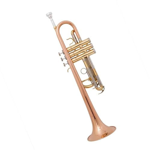 Professionelles Musikinstrument Trompete Messingrohr C-Ton Kleine Trompete Verstellbares Doppelhorn Vergoldete Oberfläche Professionelle Musikinstrumente