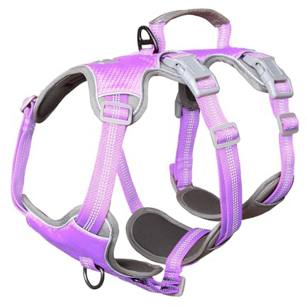 Huntboo Hundegeschirr Mittelgroße Hunde, Hunde Sicherheitsgeschirr | Vollständig Reflektierendes, Gepolstertem Griff, Verstellbare Weste für Kleine, Mittelgroße, Grosse Hunde (Lavendel Lila, M)