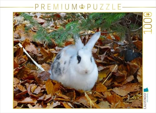 CALVENDO Puzzle Kaninchen im Herbstlaub | 1000 Teile Lege-Größe 64 x 48 cm Foto-Puzzle für glückliche Stunden