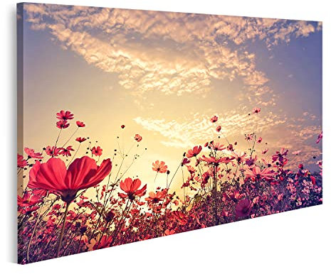 islandburner Tableau sur toile Paysage Nature Beau Champ De Fleurs De Cosmos Rouge Rose Avec Soleil Cadre Affiche Poster Murale Tableaux