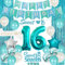 16. Geburtstag Dekorationen für Mädchen Teal Sweet 16 Geburtstagsfeier liefert alles Gute zum Geburtstag Banner Sweet 16 Schärpe Kuchendeckel Türkis Fransen Vorhang Nummer 16 Ballon