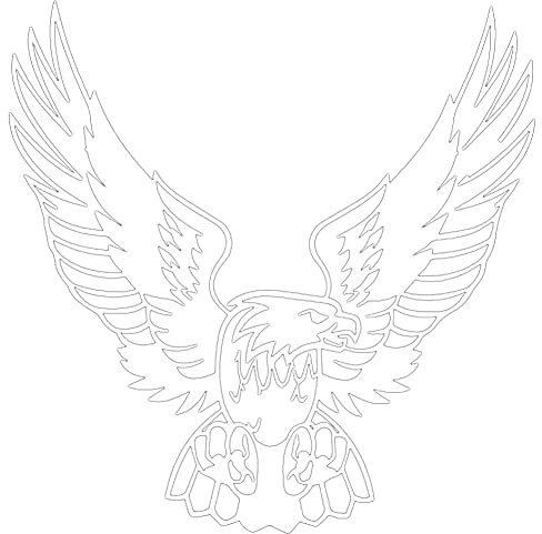 iSpchen Autoaufkleber 3D Adler Aufkleber Sport Racing Aufkleber Motorhaube Karosserie Stoßstangen Emblem Sticker Selbstklebende Tier Aufkleber Auto Styling Dekoration Aufkleber 15cmx15cm