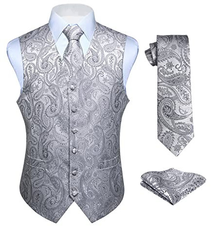 HISDERN Hommes Classique Paisley Floral Jacquard Gilet & Cravate et Gilet de Poche Gilet Ensemble, Gris, L