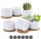 TsunNee 6 vasi da fiori in ceramica da 7,5 cm, classici vasi per piante grasse, vasi in ceramica bianchi, mini bonsai decorativi per casa, giardino, ufficio, scrivania, davanzale finestra regalo