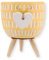FabFinds Indoor Planter Indoor Decorative Flower Plant Pots (12cm, Yellow Heart)