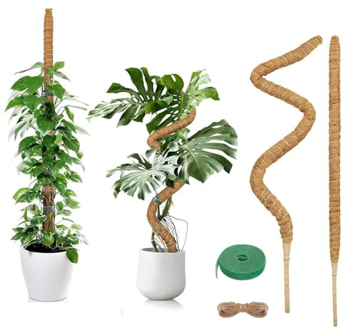 AMSGANK Moosstab Monstera für Pflanzen, 2 x 60cm Biegsame Pflanzenstütze Monstera Rankhilfe mit Zubehör Handgefertigte Kokosstab Moss Pole für Indoor Kletterpflanzen