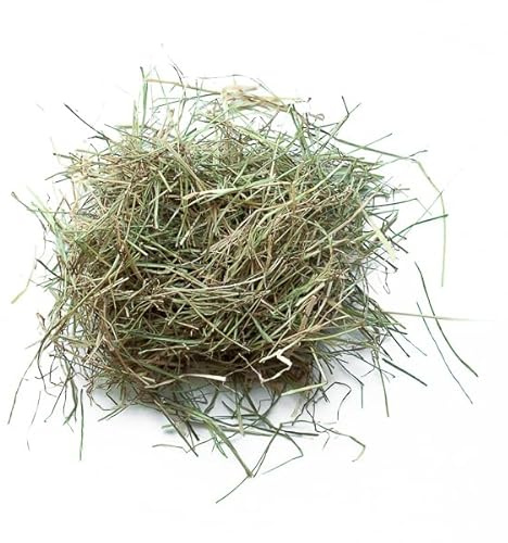 Foin de Prairie pour Lapins et rongeurs 3 kg