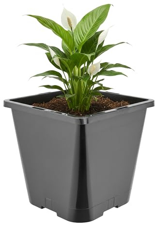 Garronda Pflanztopf Kunststoff hoch 20 x 20 x 23 cm (5,6L) eckig mit Drainagelöchern Blumentopf PP Pflanzgefäß für Garten Gewächshaus Balkon Anzucht Innen Außenbereich Schwarz GD-0201