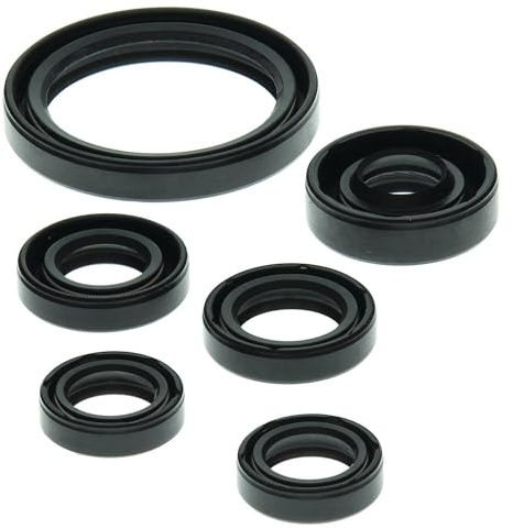 Winderosa 822238 Motor Oil Seal Kit