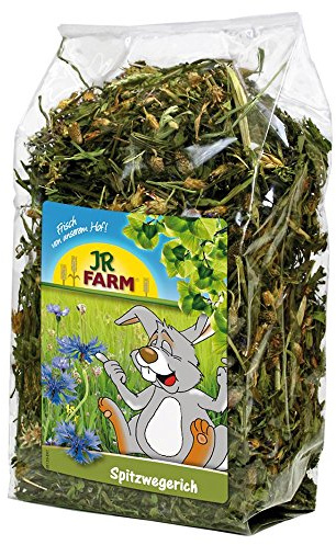 JR Farm Spitzwegerich 500 g