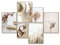 myestado - Premium Poster Set Bilder Wohnzimmer Modern Schlafzimmer Bild für Ihre Wand - ohne Bilderrahmen - 4 x DIN A3 & 2 x DIN A4 Bilder Set - ca. 30x42 & 21x30 » Living «