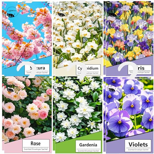 12pcs Wäscheduft Schrank Duftsäckchen Kleiderschrank Dufterfrischer, Schrankduft Frische, Duftbeutel Kleiderschrank Duft Hanging Beutel, Schrankdeo Natürlichen Geruch Sachet (12hybrid)