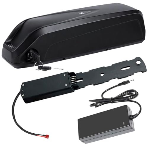 Blivysse Batterie Lithium-ION 48 V, 48 V 10,4 Ah, 8 Ah, pour Tube Diagonal 48 V, pour Moteurs 250 W et 500 W, avec Chargeur et Port 4 Broches