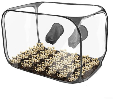 Still Air Box - Set per la coltivazione di funghi, camera di frutta pieghevole in PVC con guanti, scatola sterile per micologia, nero (balck)