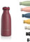 LARS NYSØM Edelstahl Trinkflasche 350ml, 500ml, 750ml, 1L, 1 5 liter | Thermosflasche Kohlensäure geeignet | Auslaufsichere Wasserflasche für Sport, Outdoor, Schule (Berry Red, 350ml)