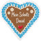 Herz & Heim® personalisierter Eiskratzer in Herzform/Kunststoff/verschiedenen Motive / 13 cm x 13 cm Lebkuchenherz