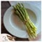 Plant in a Box - Spargel Gijnlim - 3er set - Grüner Spargel - Wurzelstöcke