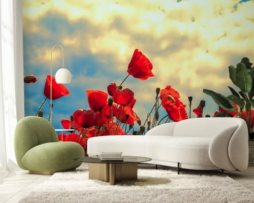 PaxGloz Fototapete Rote Mohnblumen Feld Tapete Blumen Himmel Tapeten Vliestapete Modern Wandtapete Wohnzimmer Schlafzimmer Kinderzimmer Wanddeko Motivtapeten 200 x 140 cm (B x H)