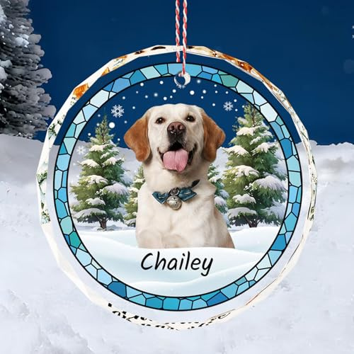Bemaystar Personalisierte Weihnachtskugel 2025, Buntglas Weihnachtsdekoration, Personalisierte Geschenke zu Weihnachten für Familie, Freunde & Haustiere