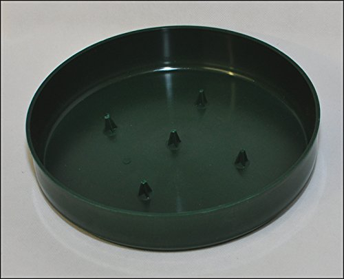 10 Bol Olympia Vert Diamètre 22 cm