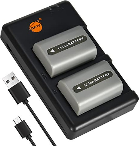 DSTE 2PCS NP-FP50 (1100mAh/7.4V) Batteria Caricatore Compatibile per Sony NP-FP30,NP-FP60,NP-FP70,NP-FP71,DCR-DVD203E,DCR-DVD205,DCR-DVD205E,DCR-DVD304E,DCR-DVD305,DCR-DVD403
