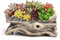 HBSGS Pot de Fleurs créatif en résine pour Plantes succulentes - Souche de Bois flotté - Imitation de bûches - Jardinage Vintage - Pot de Fleurs créatif en résine (1637-18.5 * 9.6 * 8cm)