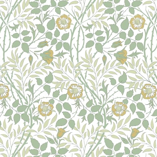 Fiula Papier peint autocollant en vinyle pour meubles, locataires, salon, vert, jaune, 39,5 x 300 cm