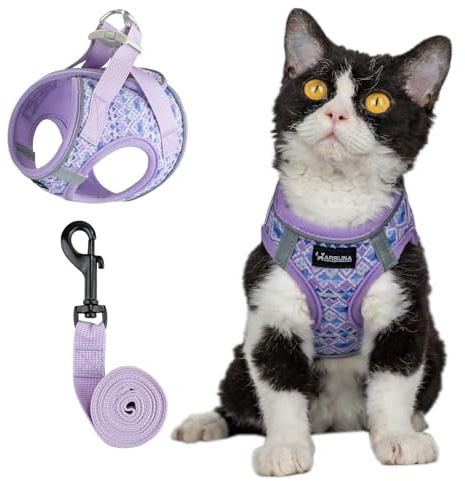 Arblina Katzengeschirr, Weich & Atmungsaktives Katzengeschirr-Set mit Reflex, Leichtes Katzengeschirr Ausbruchsicher mit 1,5m KatzenLeine, Violett XS