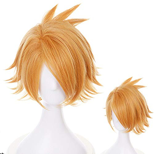OSIAS Anime Cosplay Perücke, Halloween Perücke, mit kostenlosem Perückenständer(Kaminari Denki)