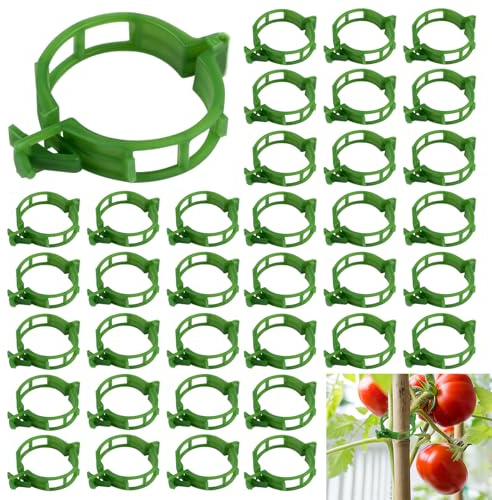 200 Stück Pflanzenclips, Wiederverwendbar Pflanzenklammern Tomaten Klammern | Rankhilfe für Kletterpflanzen Tomaten, Gurken, Blumen, Peas, Paprika und andere Rankpflanzen, Grün