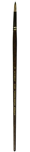 Winsor & Newton 5503008 Brush – Clear x 20 x 2 cm