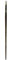 Winsor & Newton 5503008 Brush – Clear x 20 x 2 cm