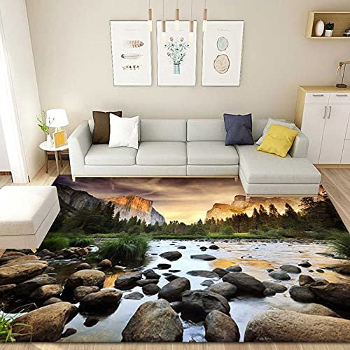 DJHWWD Area Rug Mehrfarbig Bunte teppiche Salon Auslegware 3D-Wohnzimmer-Schlafzimmer Voller Shop-Haushaltsraum 300x400cm Teppich Teenager Mädchen für Balkon wasserfest
