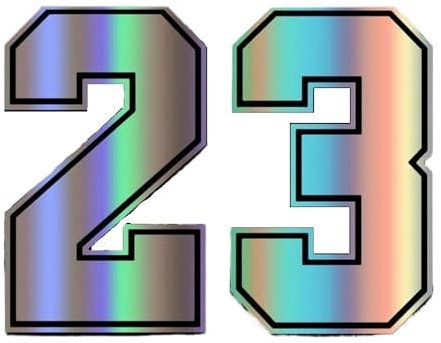 RZL 1 pz Decorazioni per finestrini Auto Numero 23 Adesivo Divertente Adesivo in Vinile Adesivi per paraurti Auto Adesivi per Auto(Colorful,30x23 cm L)